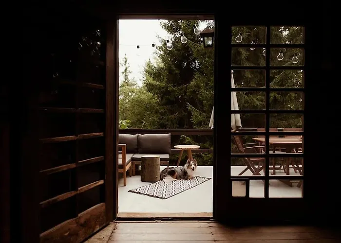 Chaloupka 35 * 斯拉皮