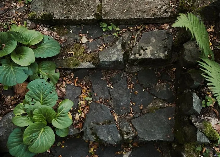 Chaloupka 35 * 斯拉皮